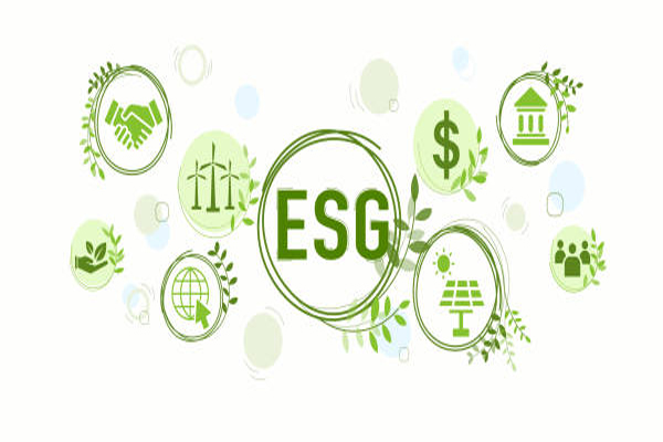 Investing in Sustainable and ESG Funds: What You Should Know